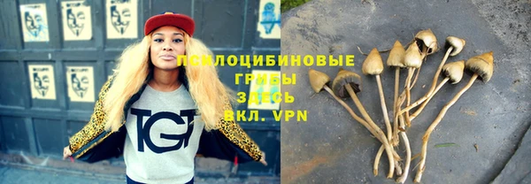 ALPHA PVP Вяземский