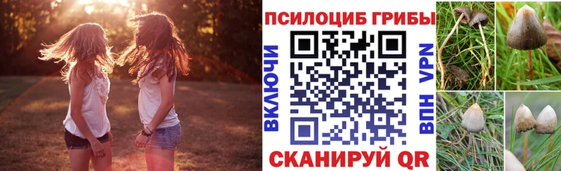 маркетплейс телеграм  Ачинск  Галлюциногенные грибы Psilocybe 
